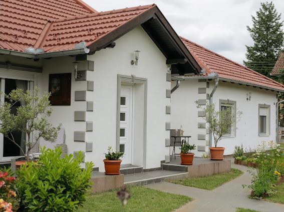 Apartmani Mikic Палич Экстерьер фото